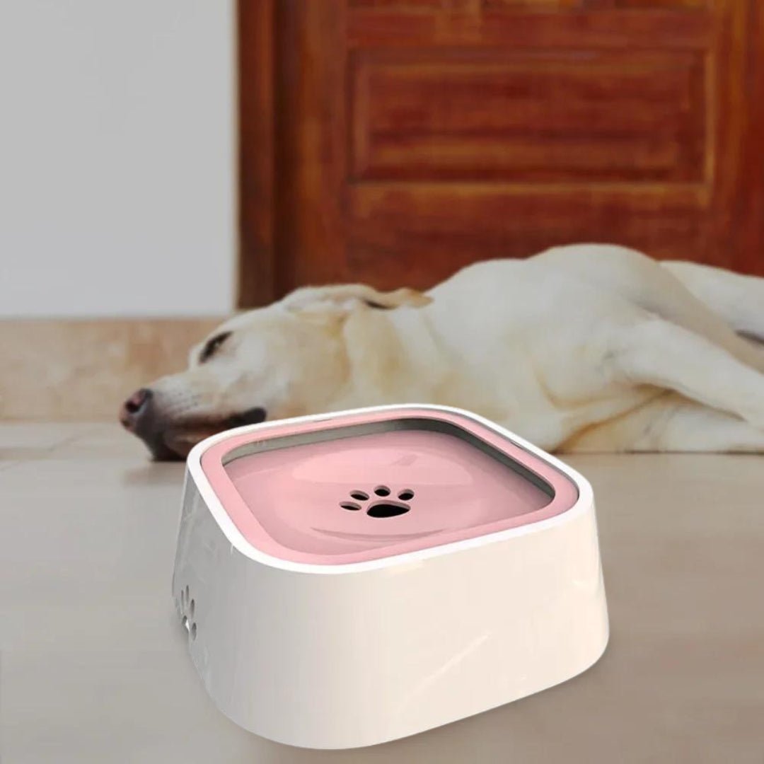 GAMELLE CHIEN - PATOSSEC™ - Je Promène Mon Chien