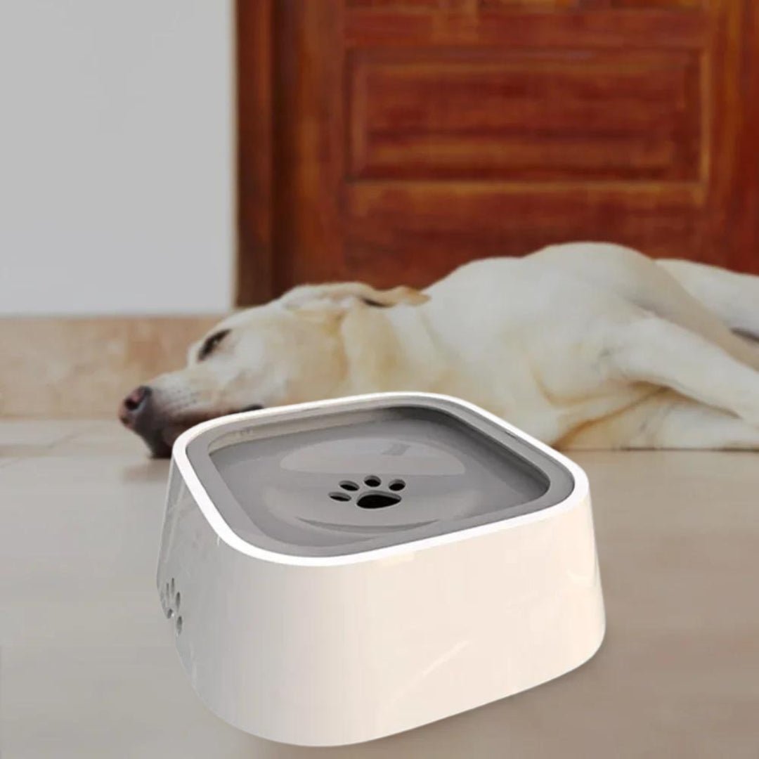 GAMELLE CHIEN - PATOSSEC™ - Je Promène Mon Chien