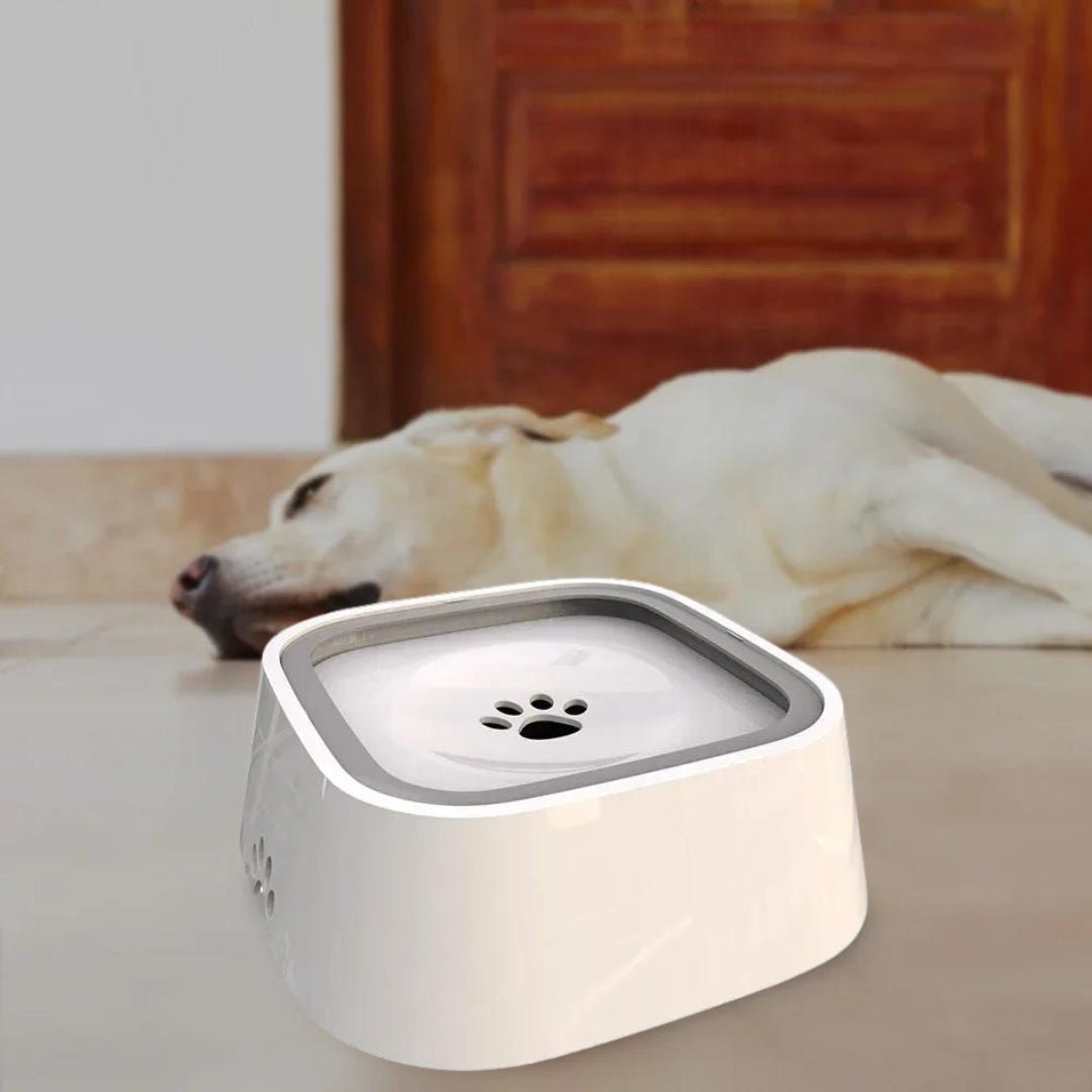 GAMELLE CHIEN - PATOSSEC™ - Je Promène Mon Chien