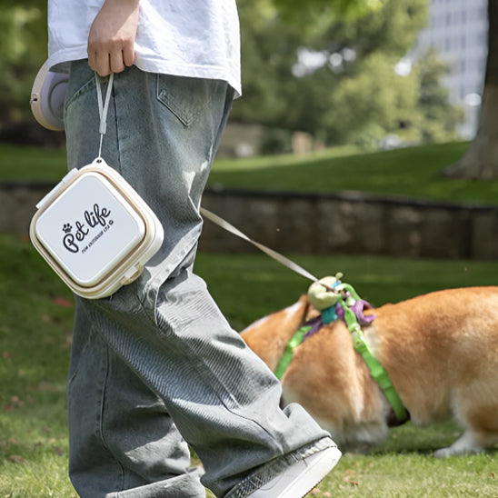 Gamelle chien | Picnic Premium
