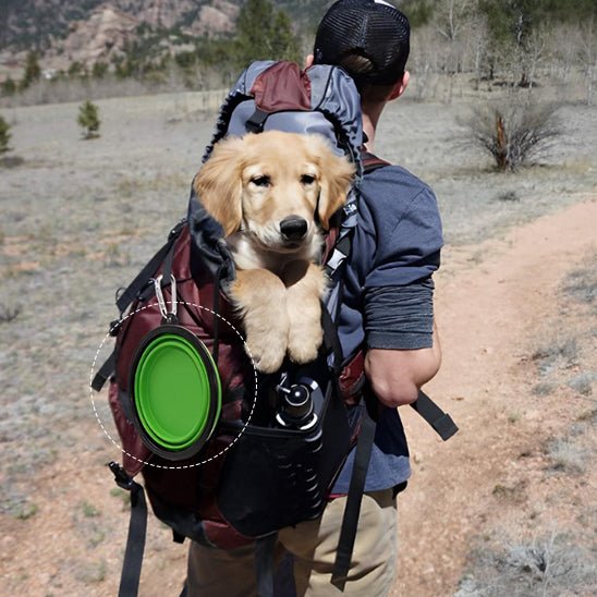 GAMELLE CHIEN - PLIABLE ET LEGERE TOUTOUBOL™ - Je Promène Mon Chien