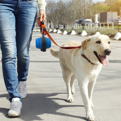 gamelle chien pliable et légère toutoubol chien en laisse