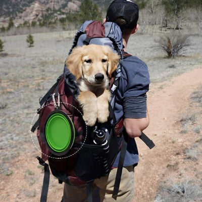 gamelle chien pliable et légère toutoubol acrochée au sac à dos en randonnée