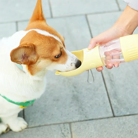 Gourde pour chien | Oreilles™