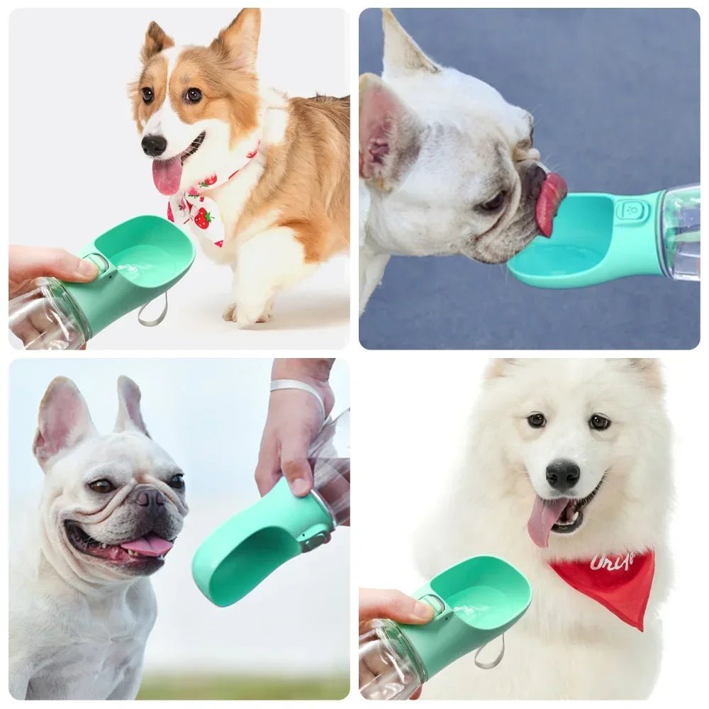 GOURDE POUR CHIEN | PLUSCOOL™ - Je Promène Mon Chien