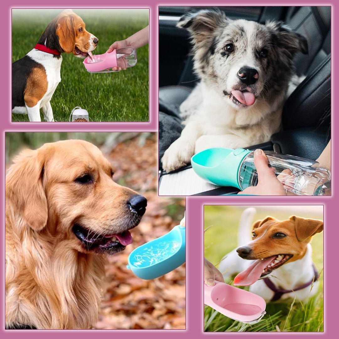 GOURDE POUR CHIEN | PLUSCOOL™ - Je Promène Mon Chien