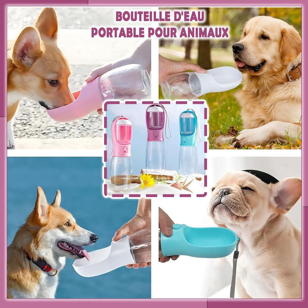 GOURDE POUR CHIEN | PLUSCOOL™ - Je Promène Mon Chien