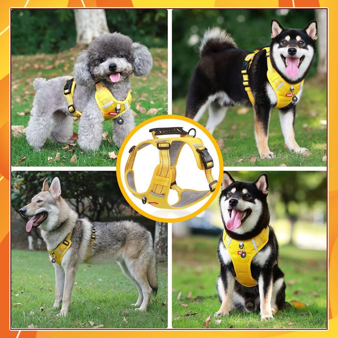 HARNAIS ANTI TRACTION CHIEN | VIXIEPROTEC™ - Je Promène Mon Chien