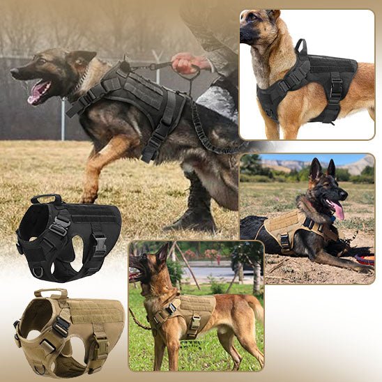 Harnais chien - Militpack™ - Je Promène Mon Chien