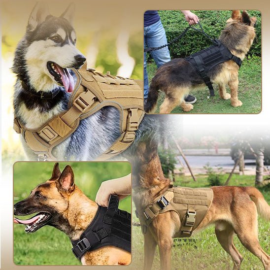 Harnais chien - Militpack™ - Je Promène Mon Chien