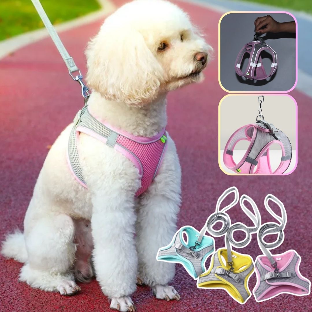Harnais petit chien | Vivaflane™ - Je Promène Mon Chien