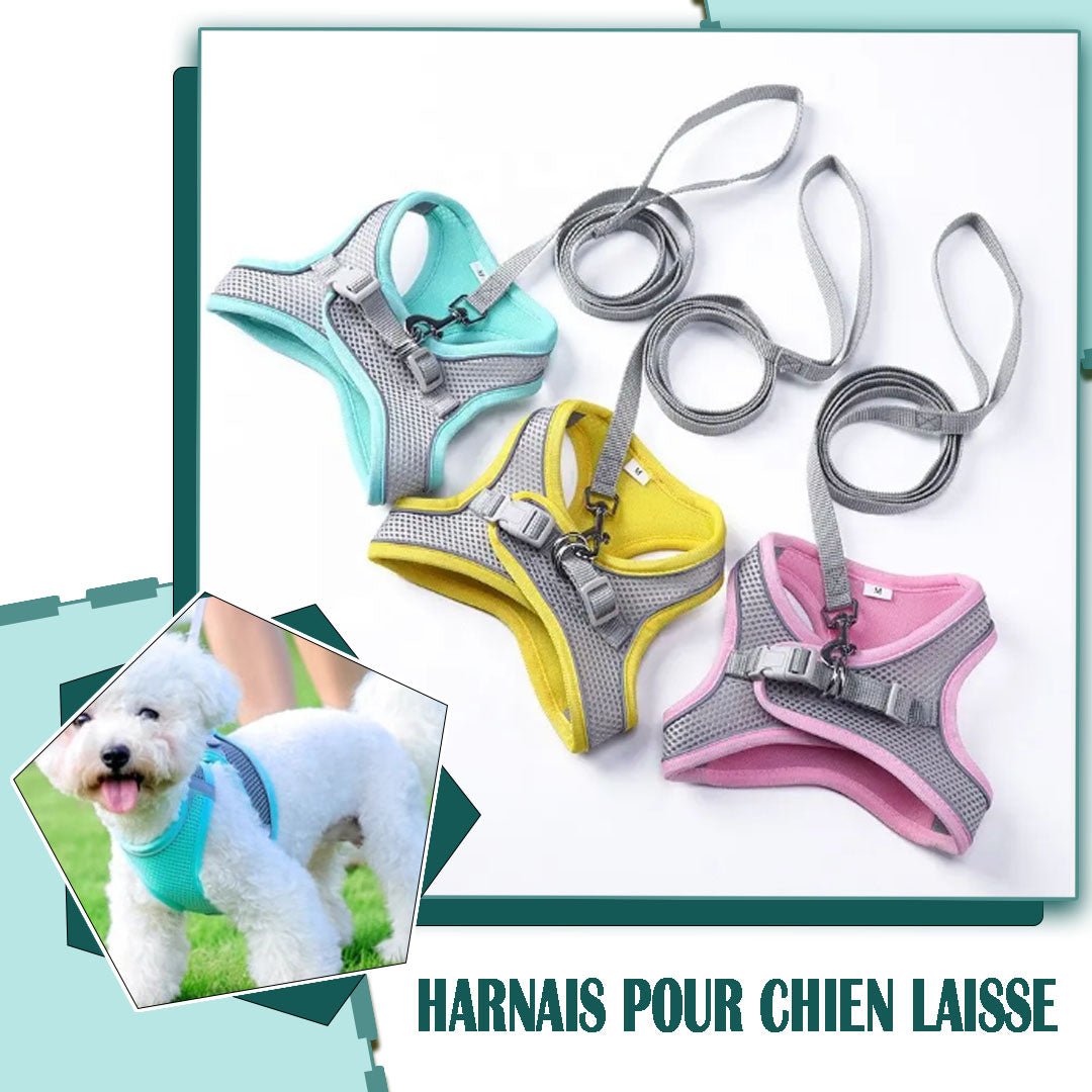 Harnais petit chien | Vivaflane™ - Je Promène Mon Chien