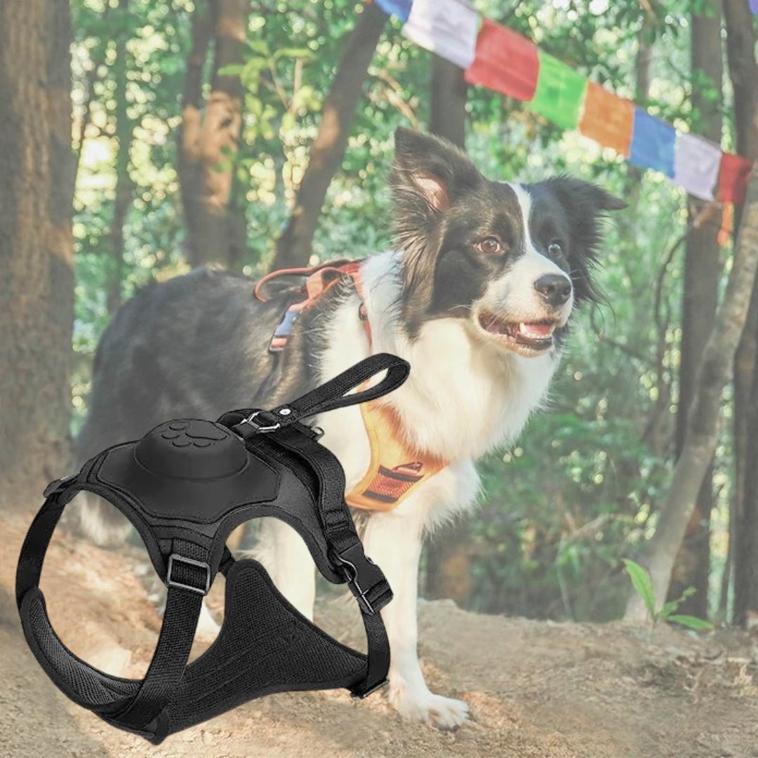 Harnais pour chien - Canykit™ - Je Promène Mon Chien