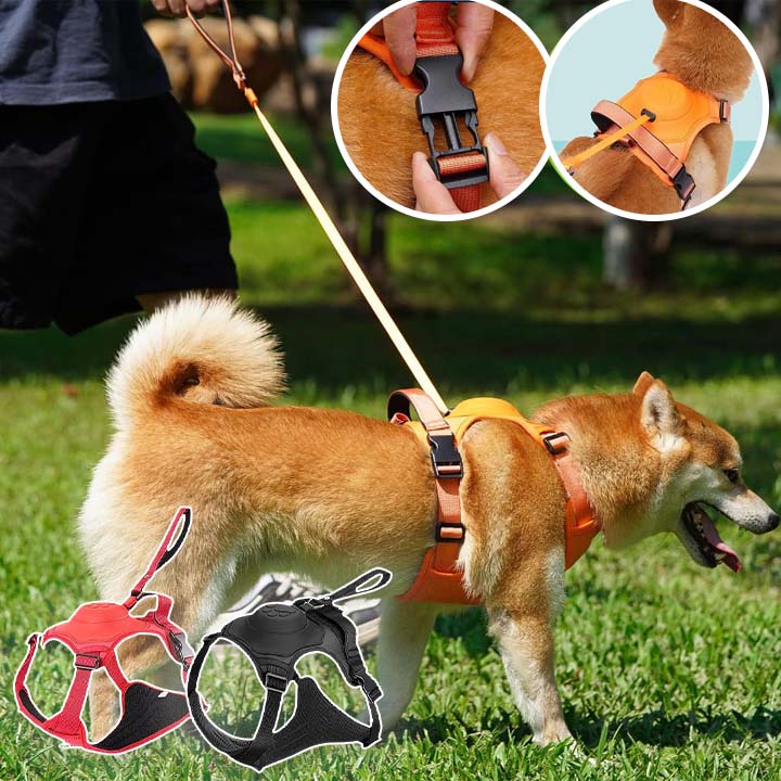 Harnais pour chien - Canykit™ - Je Promène Mon Chien