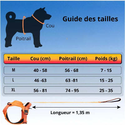 harnais pour chien canykit guide des tailles
