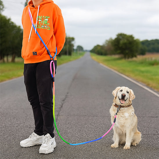 Laisse mains libres pour chiens - Multicolore