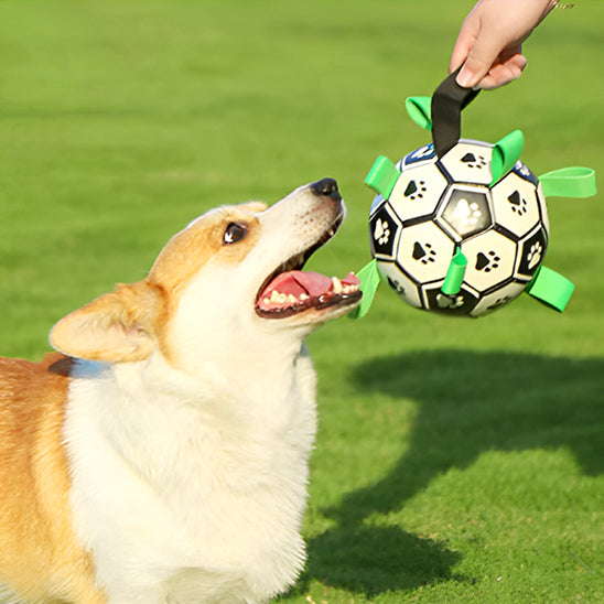 Balle pour chien | Dentaballe™