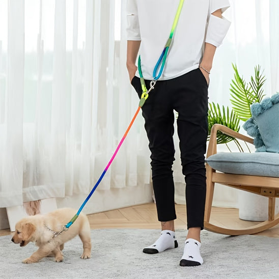 Laisse mains libres pour chiens - Multicolore