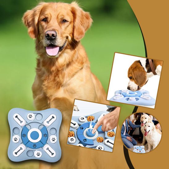 Jouet distributeur de croquettes | Canycroq™ - Je Promène Mon Chien