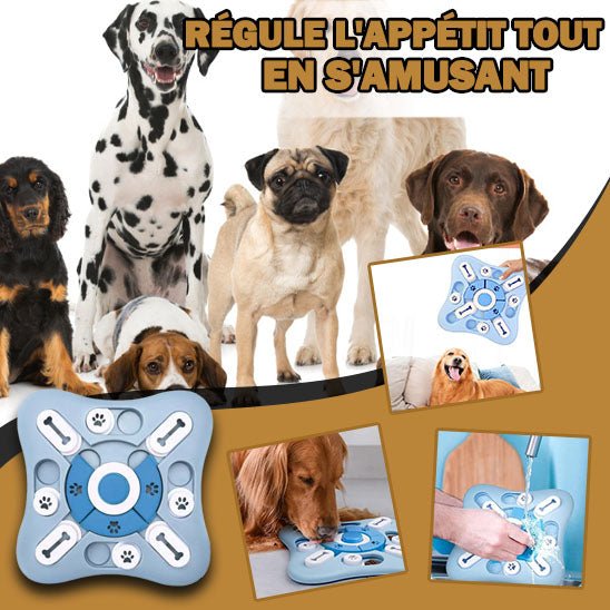 Jouet distributeur de croquettes | Canycroq™ - Je Promène Mon Chien