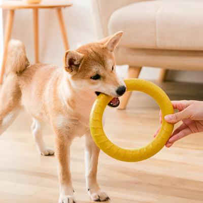 jouet pour chien anneau jaune
