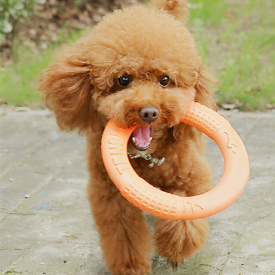 jouet pour chien anneau orange chien heureux
