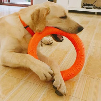 jouet pour chien anneau orange chien machouille