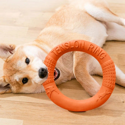 jouet pour chien anneau orange dans la maison