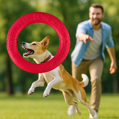 jouet pour chien anneau rouge chien joue avec son mâitre