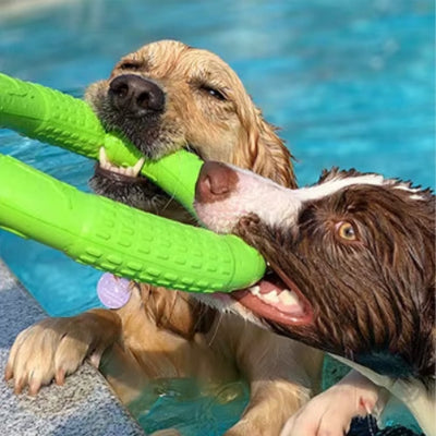 jouet pour chien anneau vert et baignade