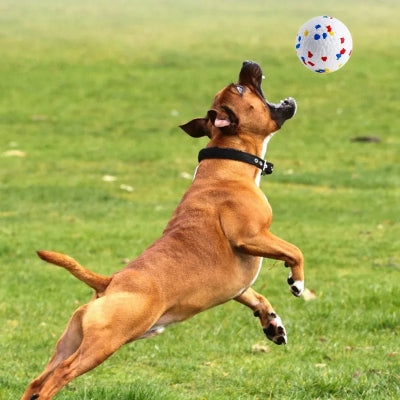 Jouet pour chien indestructible Ballemotive chien saute pour attraper la balle