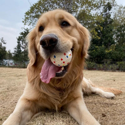 Jouet pour chien indestructible Ballemotive chien qui mord sa balle au jardin