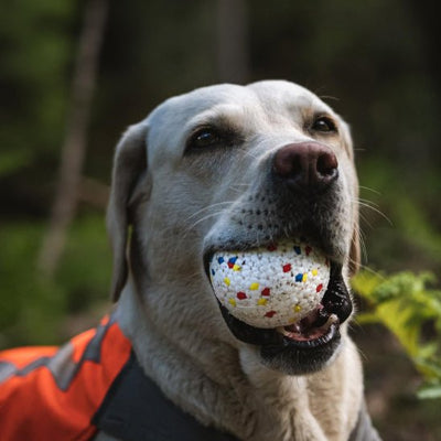 Jouet pour chien indestructible Ballemotive chien machouille la balle en extérieur