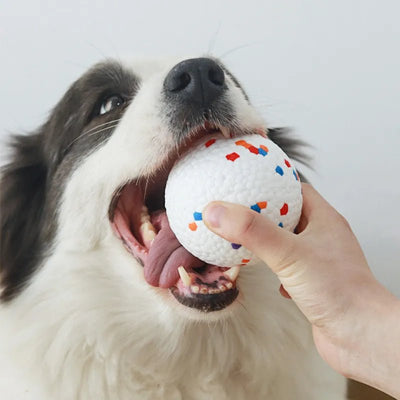 Jouet pour chien indestructible Ballemotive chien avec balle gueule ouverte