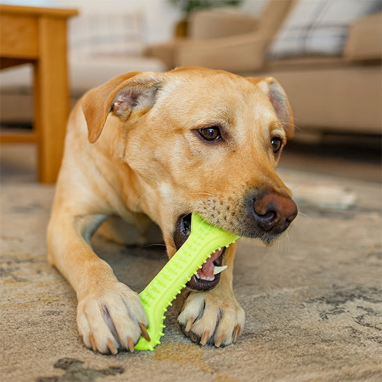 Jouet pour chien | Ultra-résistant