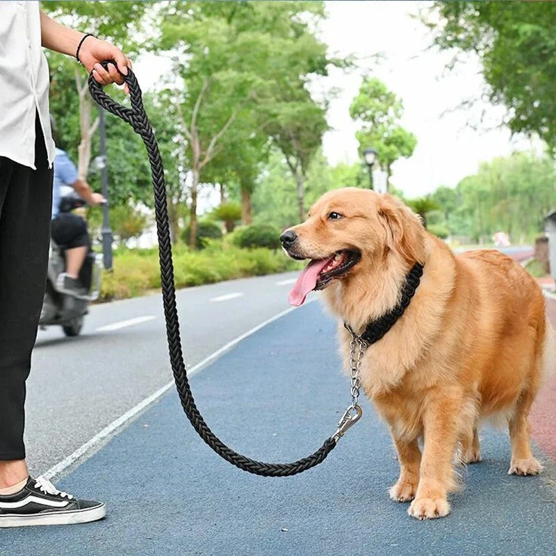 Laisse chien | Confort