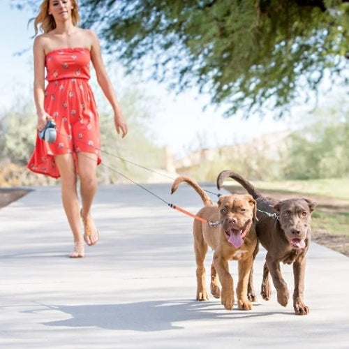 promenade au parc avec deux chiens en laisse double enrouleur