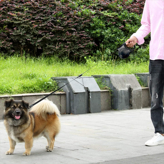 laisse pour chien promenade sur trottoir avec son maître