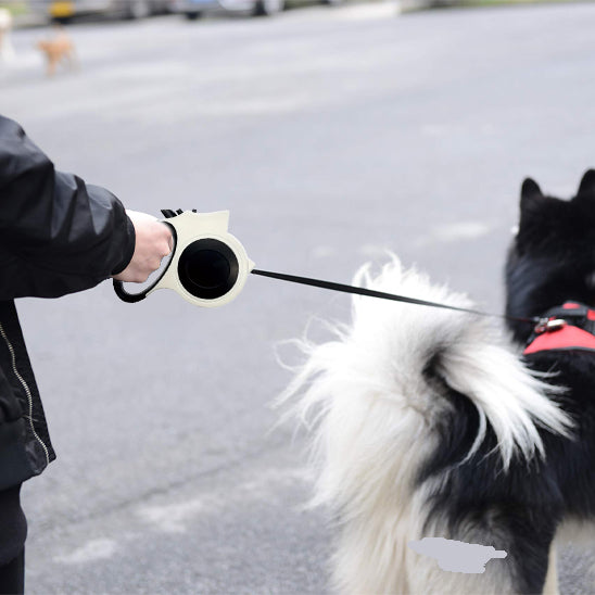 laisse pour chien en ville en promenade