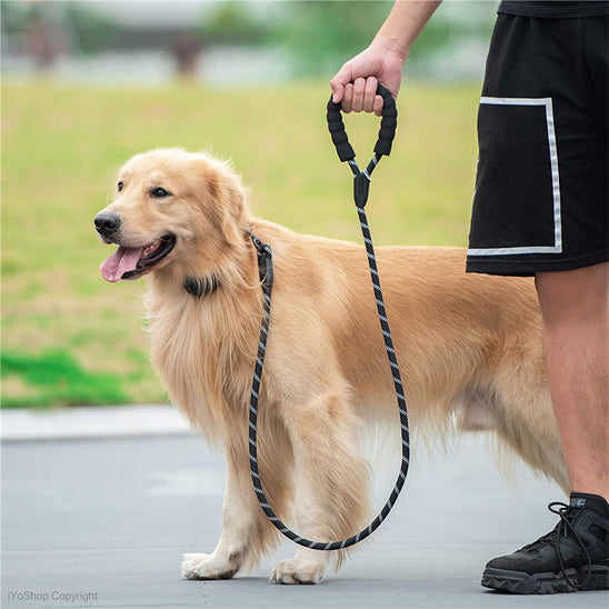 laisse pour chien Velvetcorde noire
