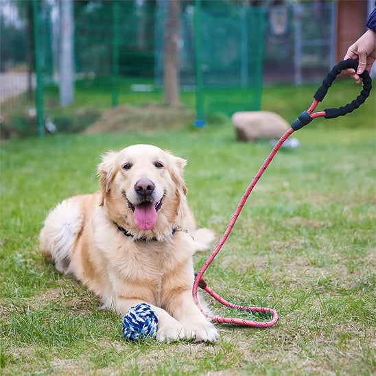 laisse pour chien Velvetcorde rouge