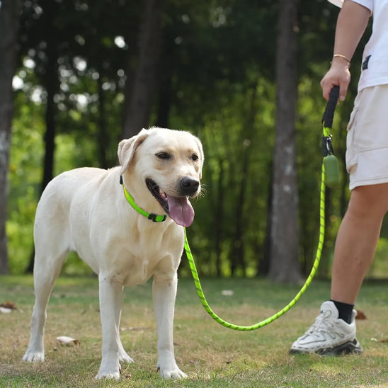 laisse pour chien Velvetcorde verte