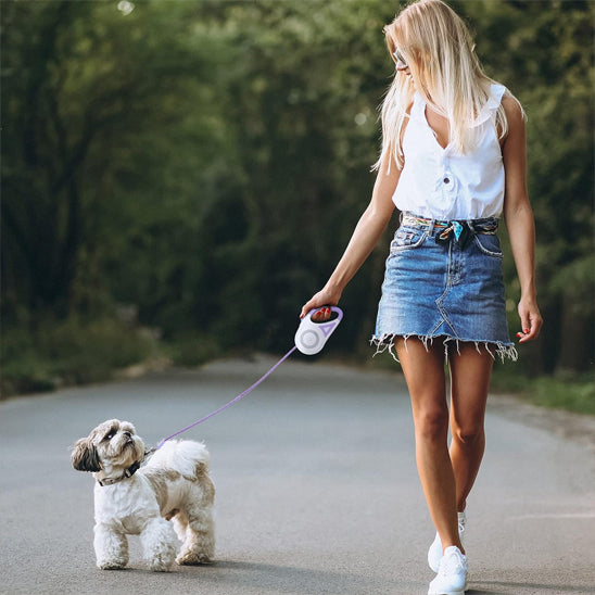 Laisse pour chien | LaissEclaire™
