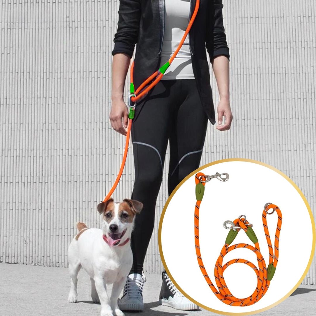 Laisse pour chien - Refletcorde™ - Je Promène Mon Chien