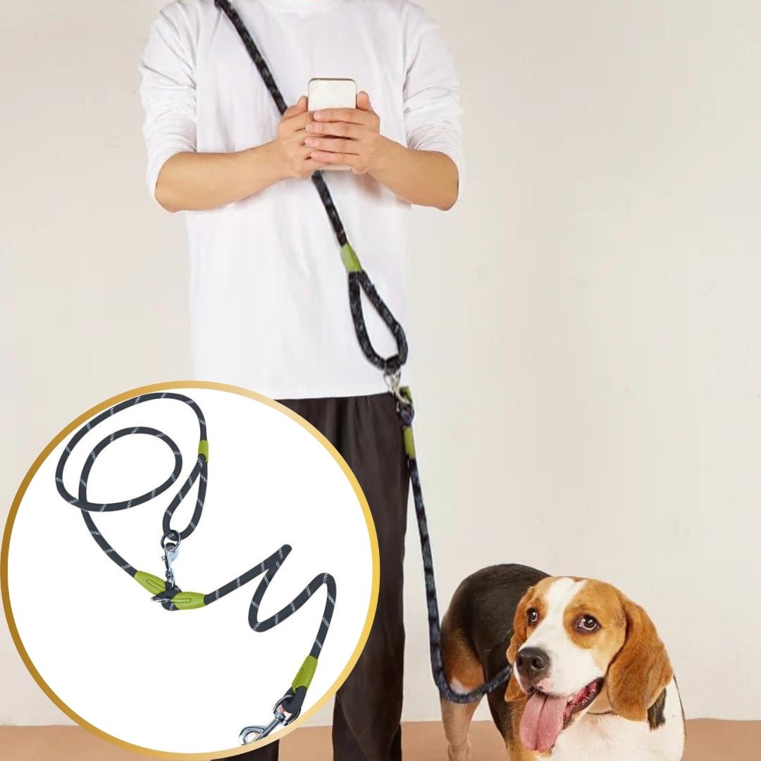 Laisse pour chien - Refletcorde™ - Je Promène Mon Chien