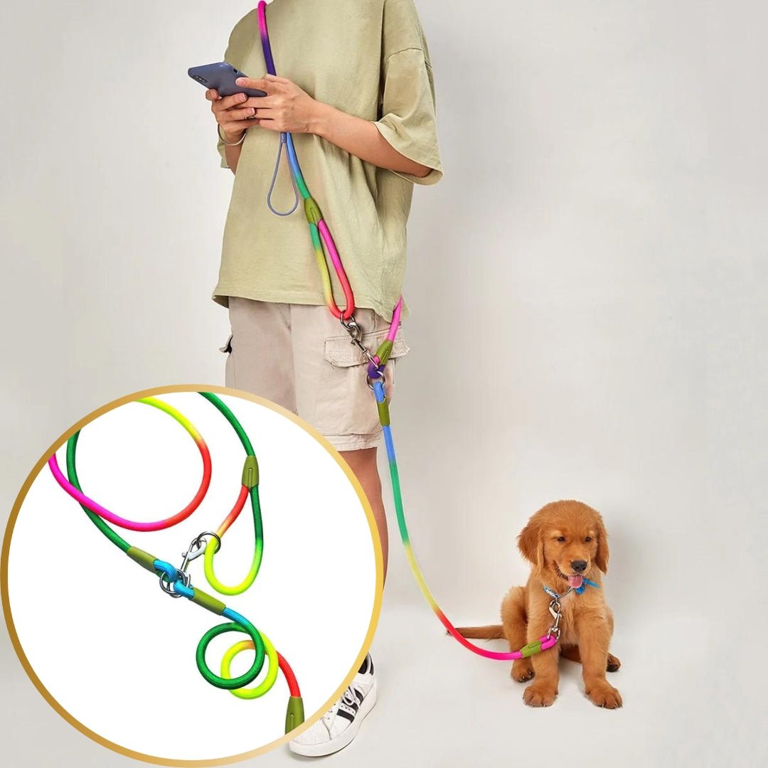 Laisse pour chien - Refletcorde™ - Je Promène Mon Chien