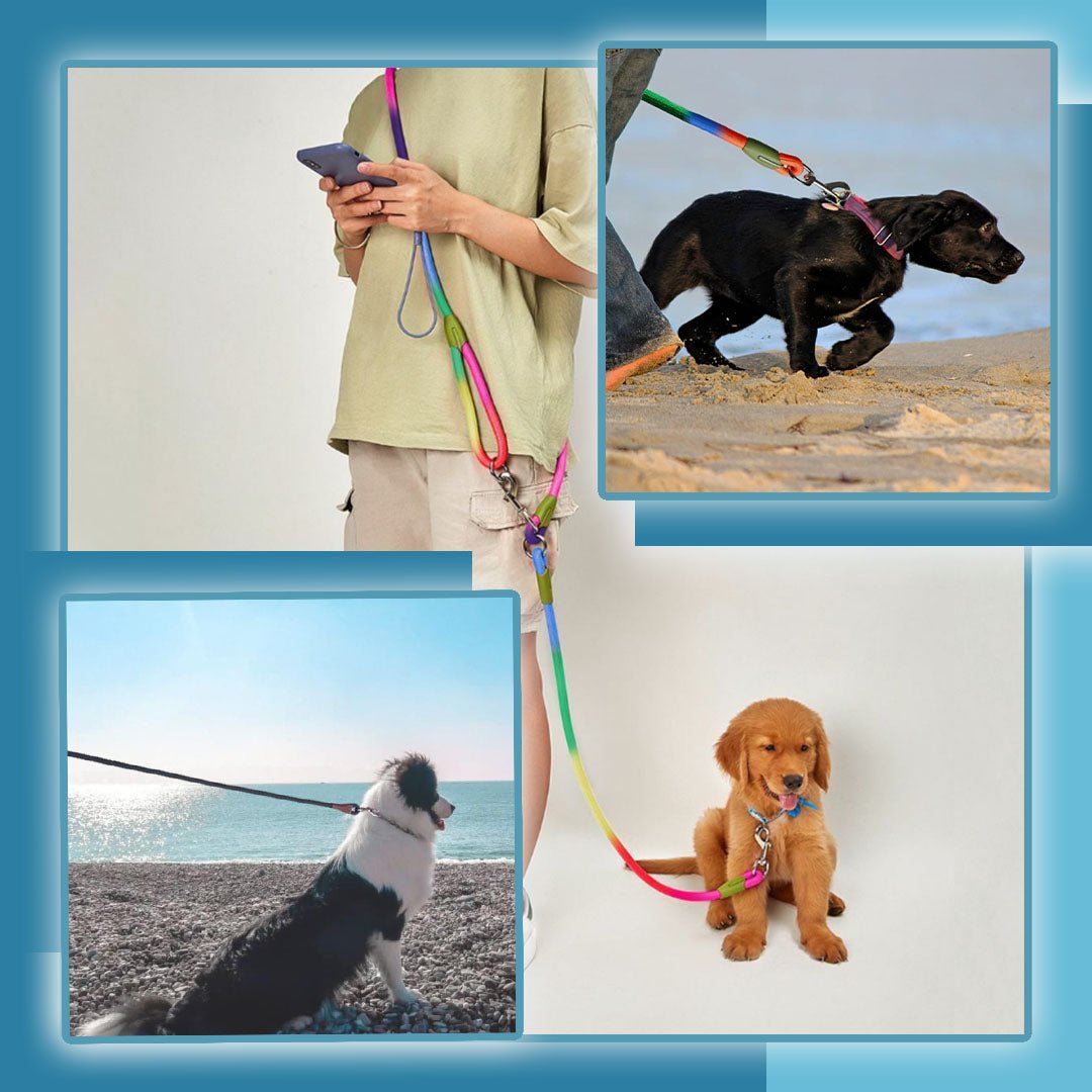 Laisse pour chien - Refletcorde™ - Je Promène Mon Chien