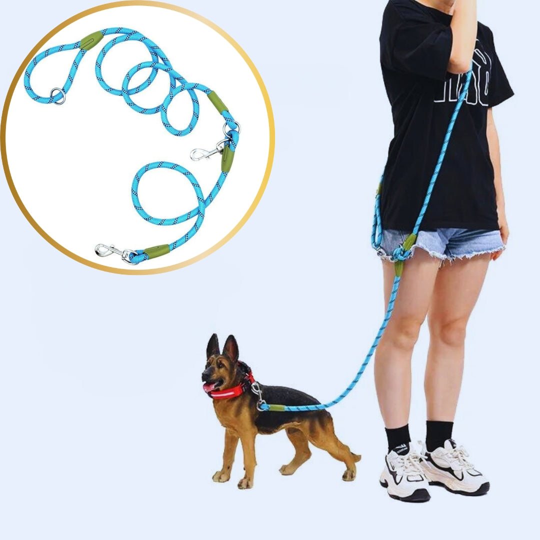 Laisse pour chien - Refletcorde™ - Je Promène Mon Chien