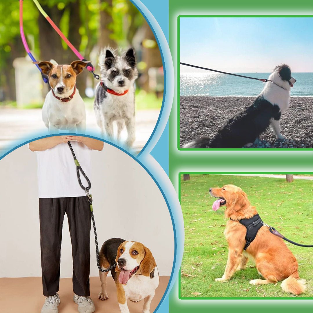 Laisse pour chien - Refletcorde™ - Je Promène Mon Chien