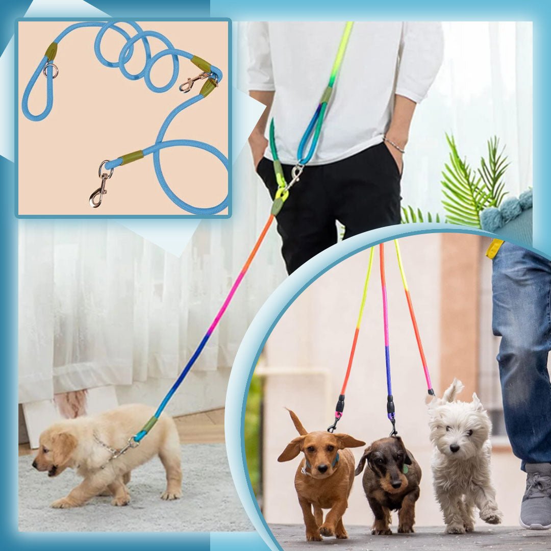 Laisse pour chien - Refletcorde™ - Je Promène Mon Chien